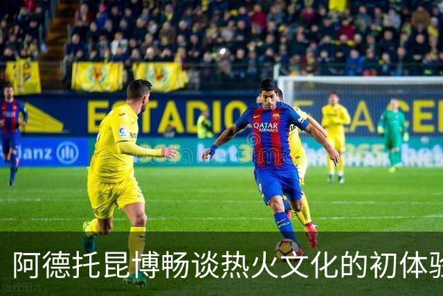 阿德托昆博畅谈热火文化的初体验